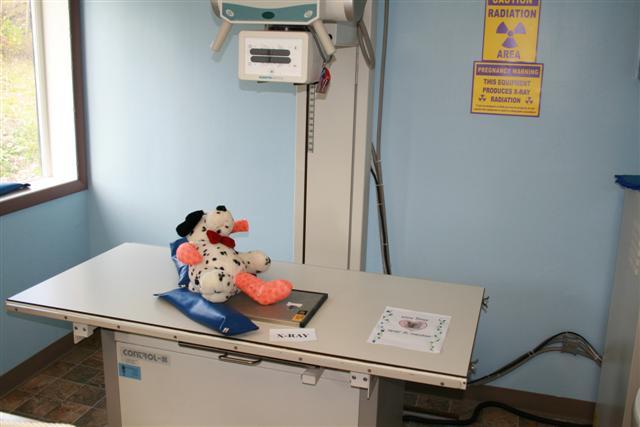 201103081736090.radiology.JPG